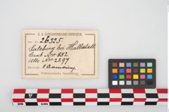 Etikett zu Bronzemelonenarmreif (NHMW-PRAE-026325)